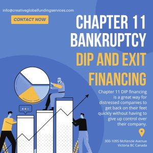 Chapter 11 DIP and EXIT Finance