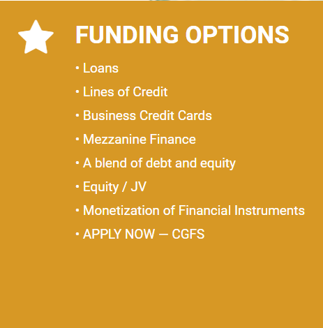 fundig-options - Creative Global Funding Solutions
